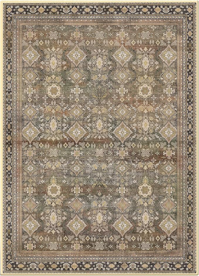 Area Rugs 5x7, Washable Rugs for Living Room, Non-Slip Rug, Boho Medallion Rug, Distressed Carpet, Low Pile Boho Rugs for Bedroom Dining Room