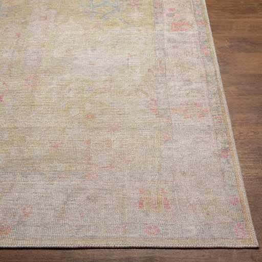 Hauteloom Zinnia Vintage Distressed Faded Area Rug - Oriental Bohemian Turkish Floral Carpet - Machine Washable Rug - Stain Resistant - Pet Friendly - Pink, Green, Blue, Colorful - 8'10" x 12'