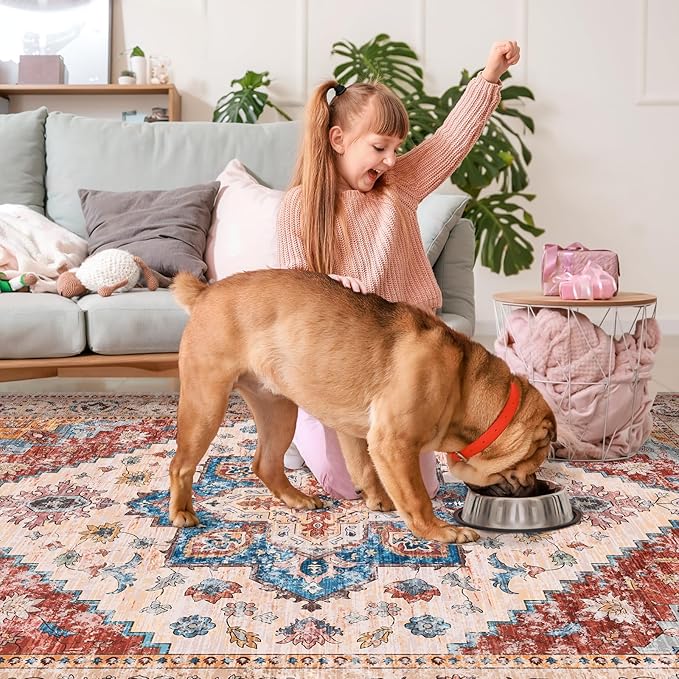 Ciicool 5x7 Area Rugs, Washable Area Rug Boho Rugs for Living Room Non-Slip Indoor Rugs Large Low-Pile Mat Floor Carpet Vintage Rug for Bedroom Office Dinning Foyer Decor