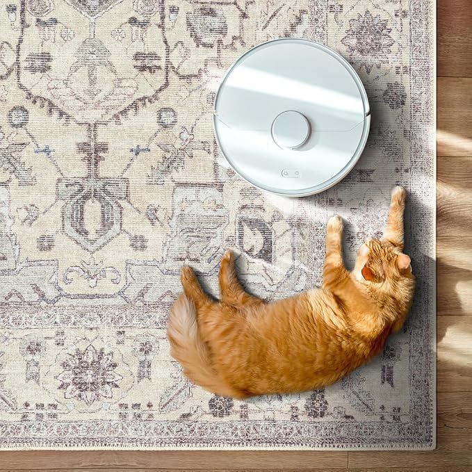 GLN Rugs Bohemian Collection - Machine Washable Area Rug, Bohemian Vintage, Non Slip, Low Pile Chenille Rug, Living Room, Bedroom, Bathroom Rug (2'x3' Beige and Gray)