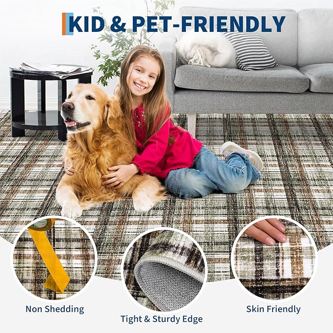 Large Area Rug 10x13 Rug for Living Room Modern Washable Rugs Non Slip Soft Low Pile Throw Rugs Stain Resistant Carpet for Bedroom Office Dining Room Nursery 10'x13'