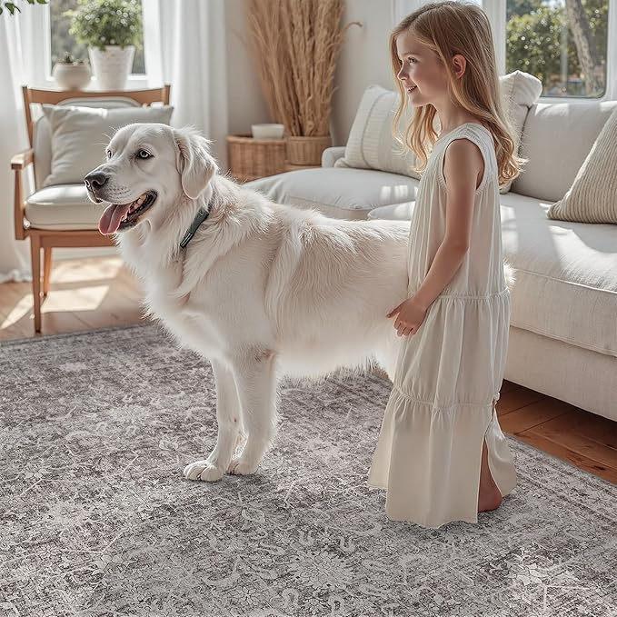 DCX Machine Washable Beige and Grey Area Rug 5x7, Non Slip Stain Resistant Vintage Rug for Living Room Diningroom Bedroom Nursery, Soft Low Pile Large Carpet