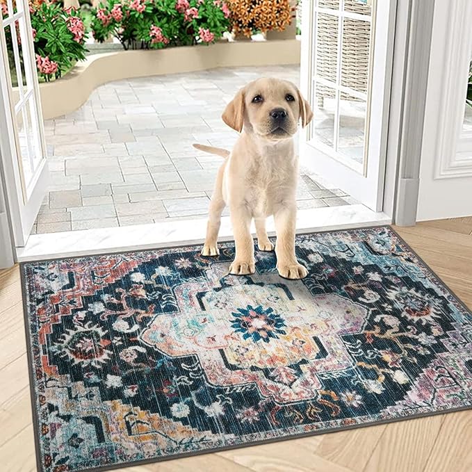 Collive Retro Floor Mat, Non-Slip Washable Doormat, Large Size Quick-Dry Welcome Mat, Low-Pile Front Door Rug, 32" x 48", Colorful
