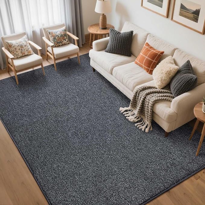 FinRèc 5x7 Washable Area Rugs for Bedroom Living Room, Low Pile Thin Rug Solid Color, Non-Slip Carpet Indoor for Home Decor (Grey)