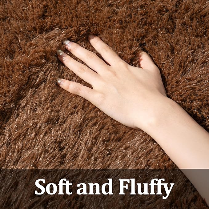 Brown Rug for Bedroom Living Room, 4x5.9 Fuzzy Fluffy Carpet, Shag Area Rugs for Kids Home Decor Aesthetic, Non Slip