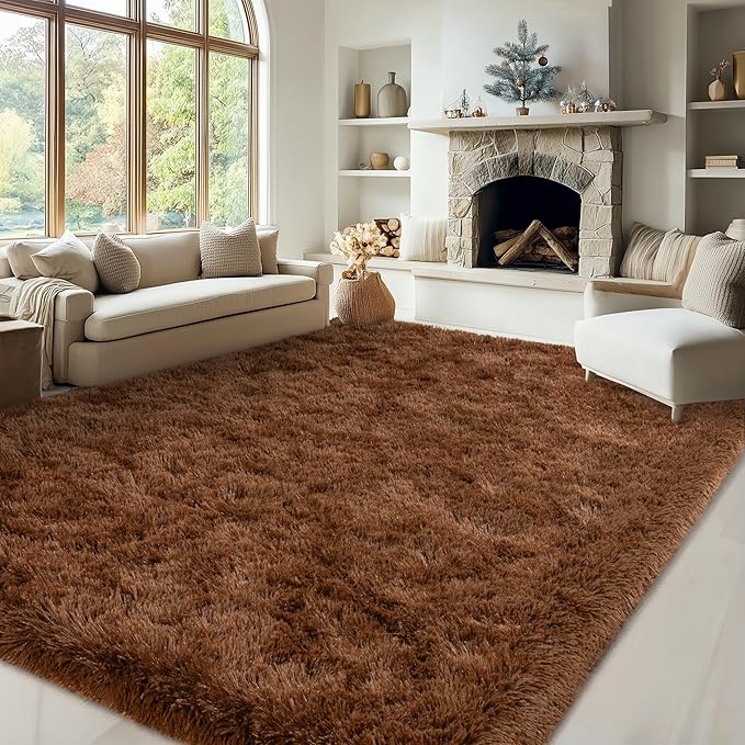 Brown Rug for Bedroom Living Room, 4x5.9 Fuzzy Fluffy Carpet, Shag Area Rugs for Kids Home Decor Aesthetic, Non Slip