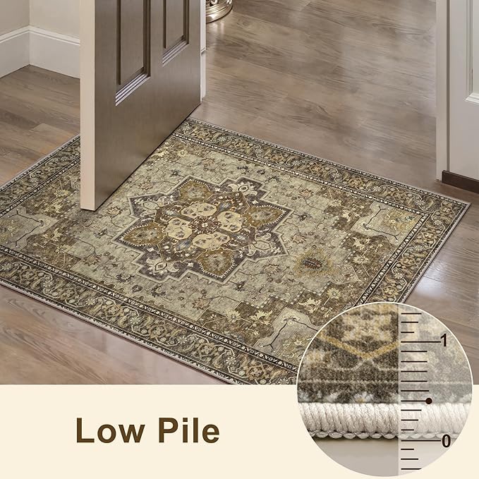 Ciicool Area Rug 5x7ft Washable Rugs for Living Room Non-Slip Indoor Rugs Large Low-Pile Mat Floor Carpet Vintage Rug for Bedroom Dinning Foyer Decor