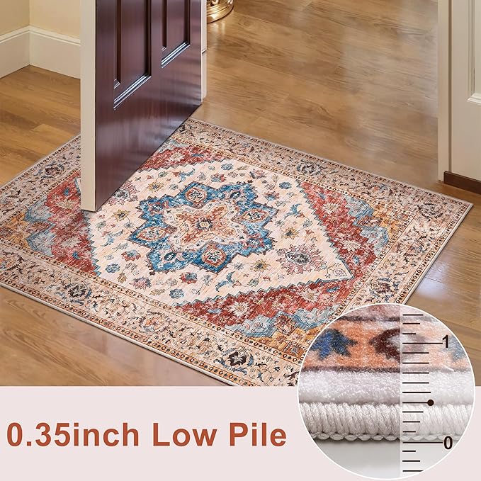 Ciicool 5x7 Area Rugs, Washable Area Rug Boho Rugs for Living Room Non-Slip Indoor Rugs Large Low-Pile Mat Floor Carpet Vintage Rug for Bedroom Office Dinning Foyer Decor