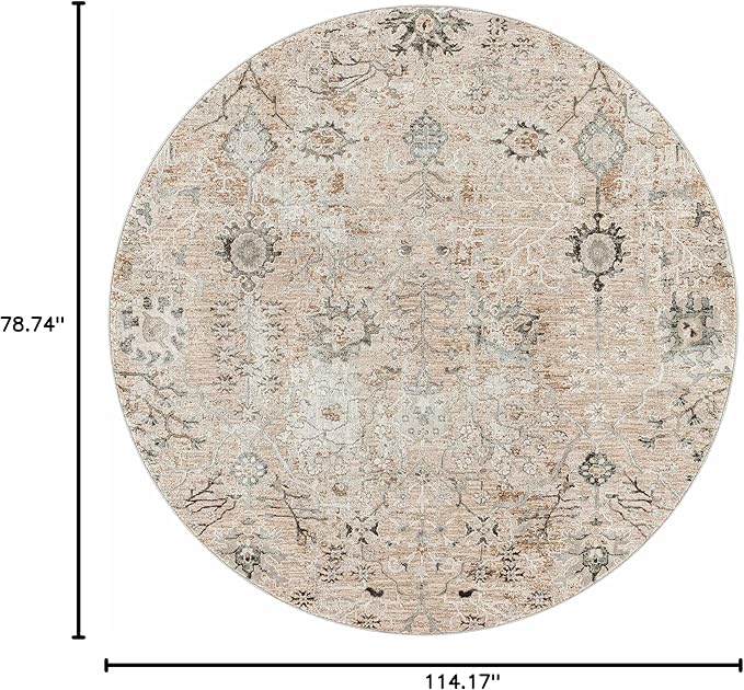 Hauteloom Octavia Moroccan Farmhouse Living Room Bedroom Dining Room Area Rug with Tassles - Bohemian Neutral Style - Traditional, Oriental, Turkish - Beige, Brown, Cream - 6'7" x 9'6"