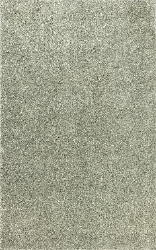 Eyely UES100O-14 Supersoft Haze Solid Low-Pile Indoor Area Rug, Coastal, Bohemian, Minimalist, Classic, Casual for Bedroom,Kitchen,Living Room,Non Shedding,Easy-Washing, Green, 10 X 14