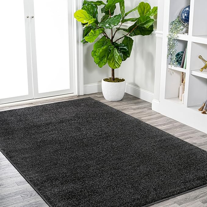 Eyely UES100I-6 Supersoft Haze Solid Low-Pile Indoor Area Rug, Coastal, Bohemian, Minimalist, Classic, Casual for Bedroom,Kitchen,Living Room,Non Shedding,Easy-Washing, Black, 6 X 9